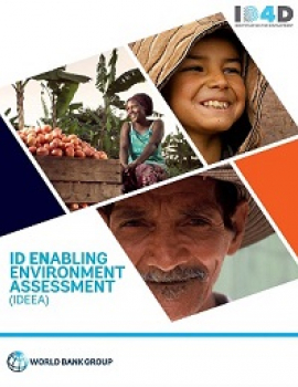 ID Enabling Environment Assessment (IDEEA)